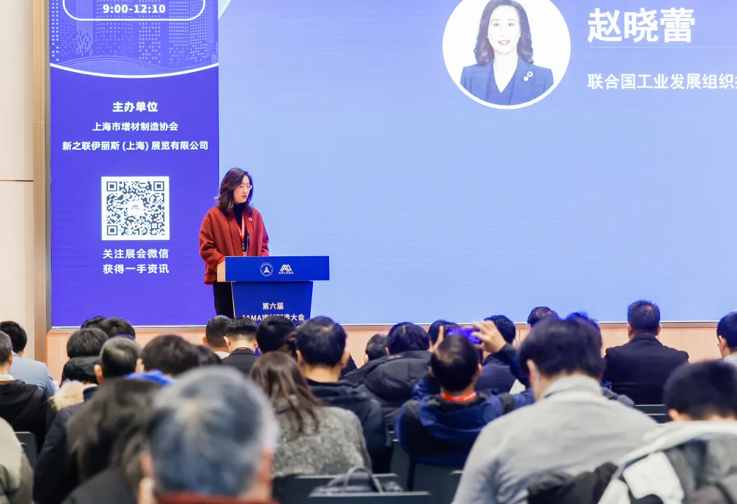 202406212002104244.jpg 202406212002104244.jpg