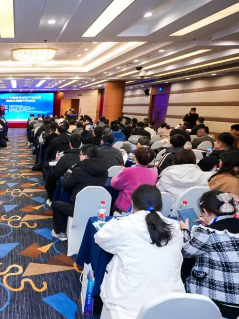 202406212011016170.jpg 202406212011016170.jpg